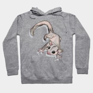 Climbing Sugar Glider Hoodie